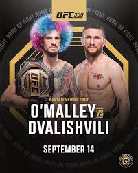 o'malley vs dvalishvili