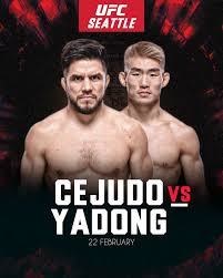 cejudo vs yadong