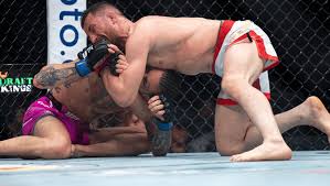 UFC 316