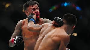 UFC 317 Bonuses