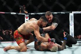 UFC 317 bonuses