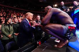 UFC 