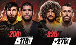 UFC 320