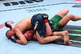 UFC 319 bonuses