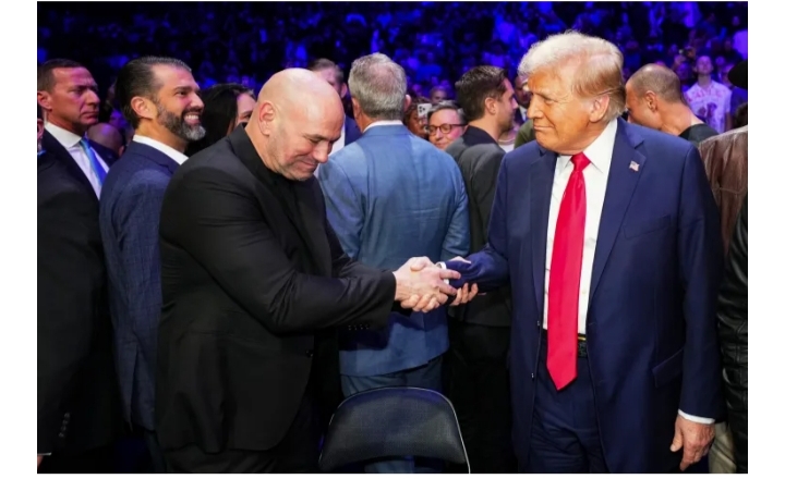 Dana White