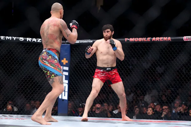 Pereira and Ankalaev