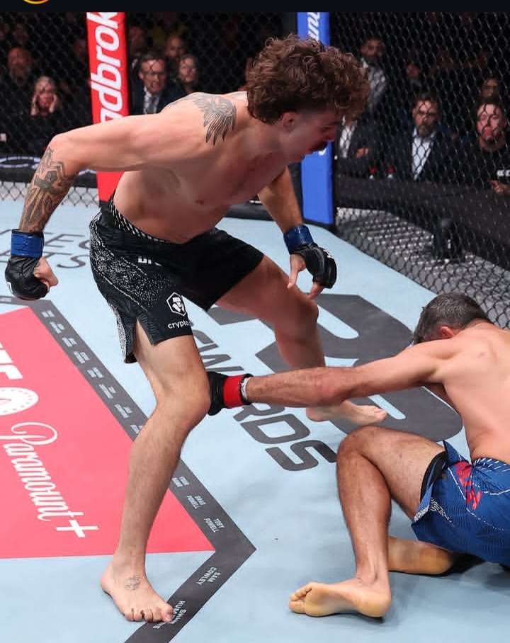 MMA fighter in black shorts and blue gloves standing over a downed opponent inside the cage, delivering a punch.