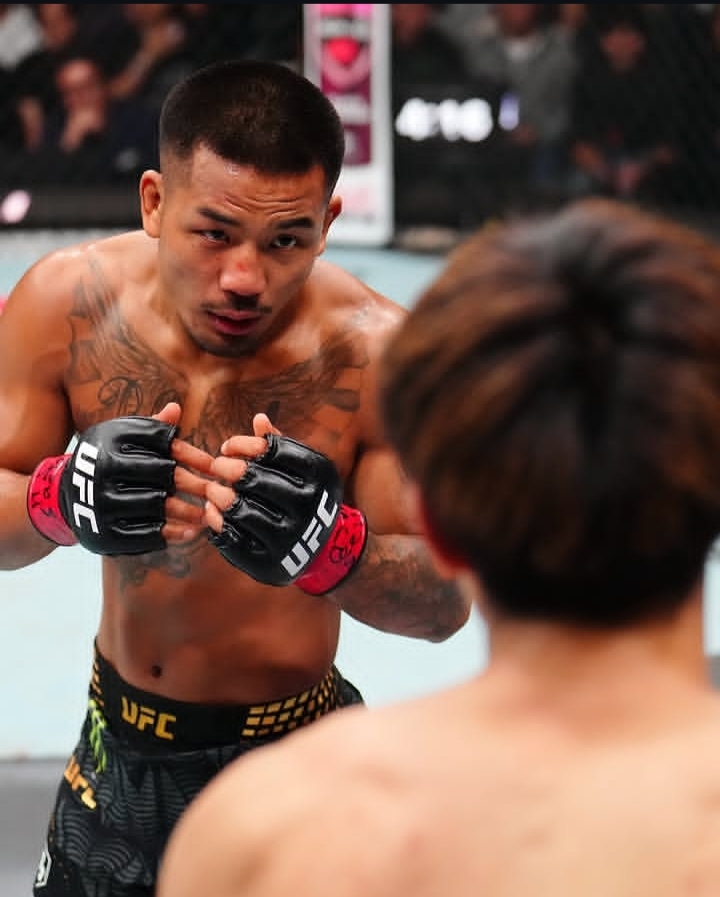 Mixed martial arts fighter in UFC shorts with black gloves faces an opponent, hands up in a ready stance inside the cage.