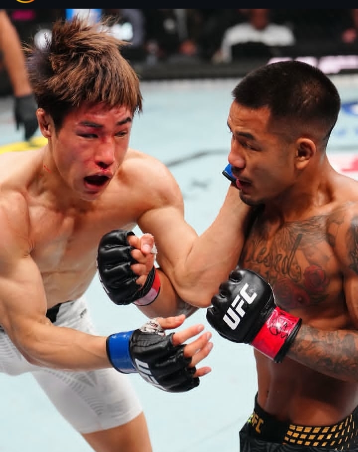 Two mixed martial artists in a UFC bout exchanging punches in the octagon.