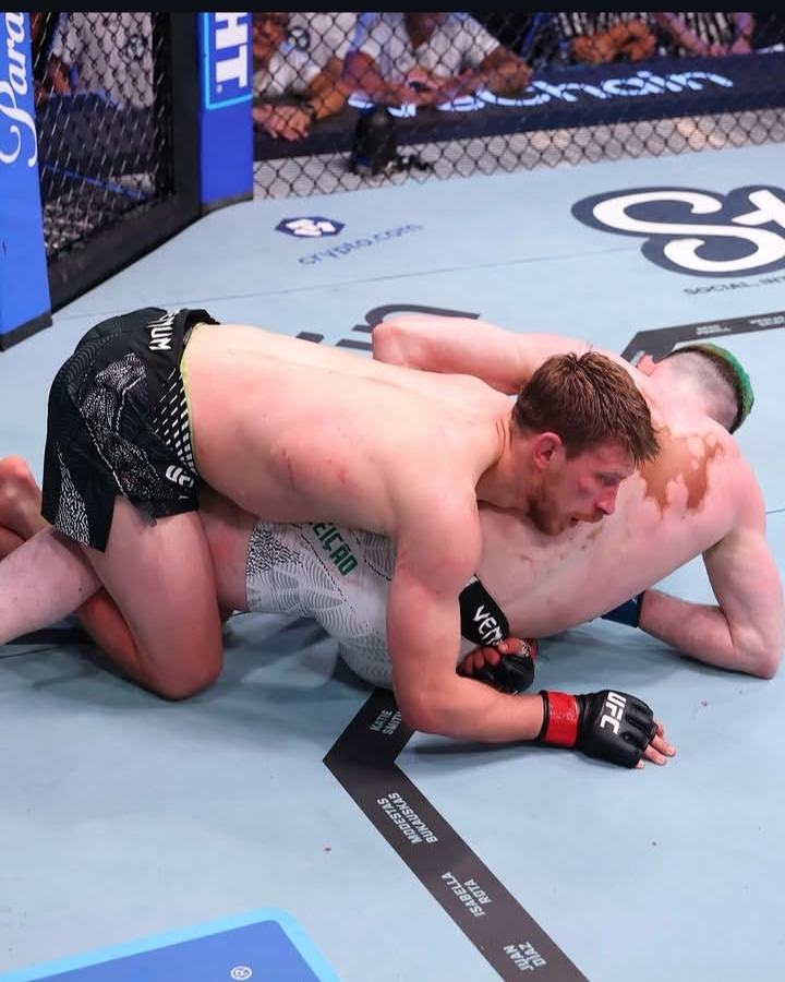 Two male mixed martial artists grapple on the mat inside a cage, the top fighter mounted and applying pressure while the bottom fighter defends on the ground with gloves near the mat.