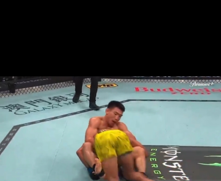 Fighter in yellow shorts pounds a grounded opponent inside a UFC-style cage.