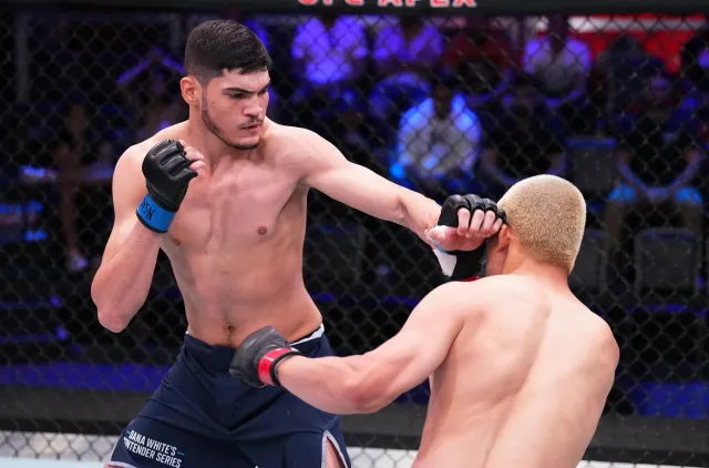 Two male mixed martial artists fight in a fenced octagon; one lands a punch as the other guards.”] ,
