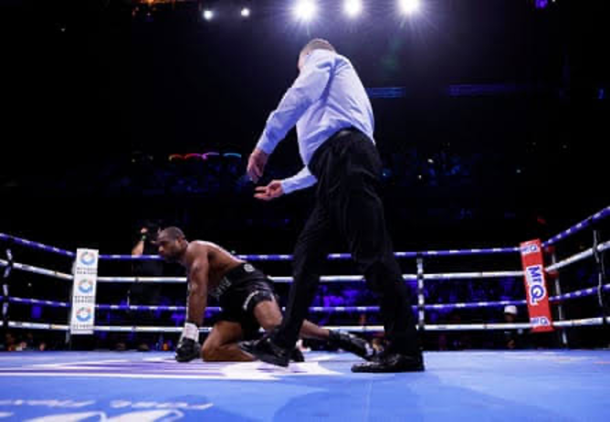 Boxer kneels on the canvas while the referee approaches during a boxing match in a lit arena, spectators in the background.