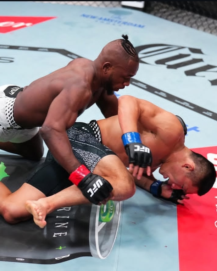 Two UFC fighters grapple on the mat; one fighter on top pins the other during a bout inside the octagon.