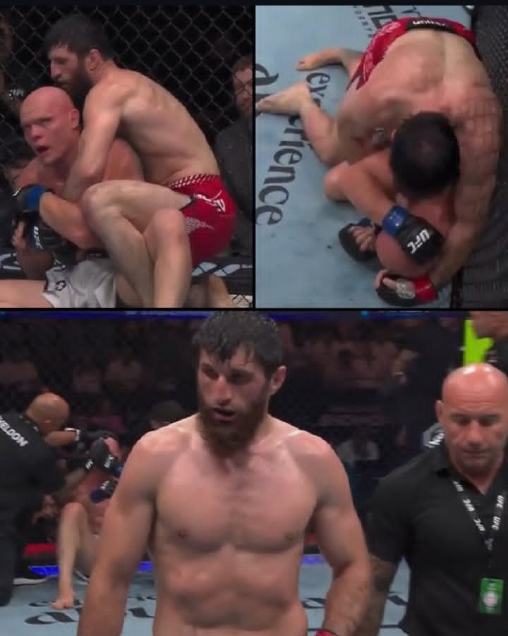 Collage from a UFC fight: left panel shows a shirtless fighter on top grappling another fighter inside the cage; right panel shows two fighters grappling on the mat; bottom panel shows a shirtless, exhausted fighter walking in the octagon with an official nearby.
