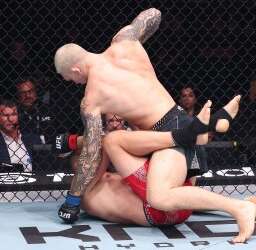 Two mixed martial artists grapple in a cage; one on top delivering a punch to the opponent on the mat, crowds watching in the background.