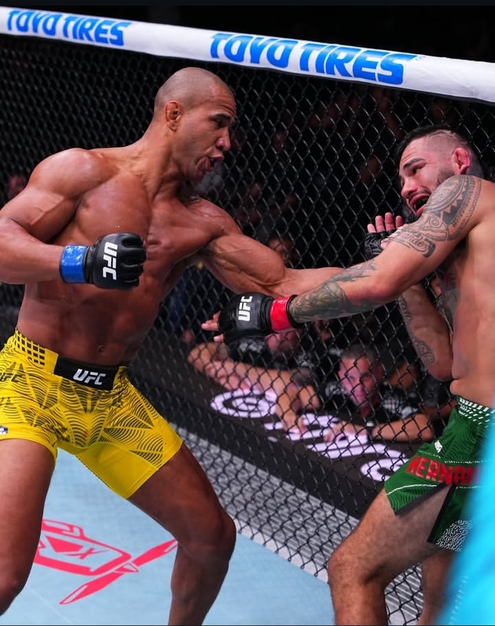 Two UFC fighters in a cage exchange punches; left fighter in yellow shorts lands a punch on the opponent in green shorts with red gloves at the Octagon edge.