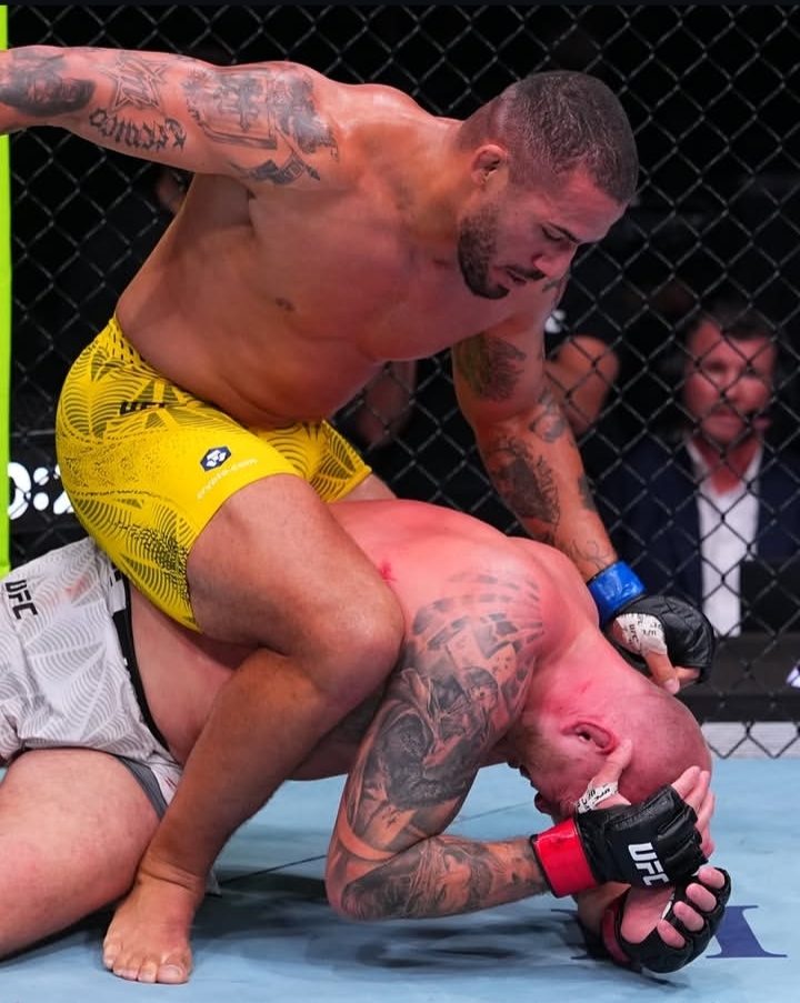 UFC-style ground fight: top fighter in yellow shorts delivering punches while pinning tattooed opponent on the mat inside the cage.