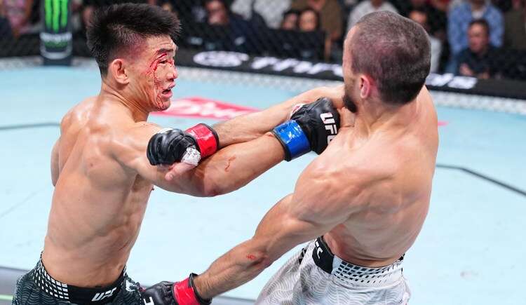 Two UFC fighters clash in the octagon; one has a bloody cut on his face while landing a punch on his opponent inside the cage.