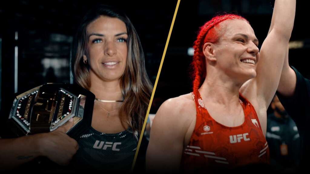 UFC 330