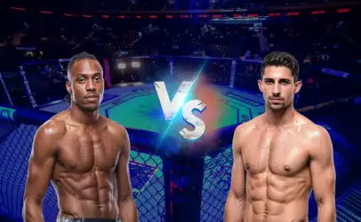 UFC 330