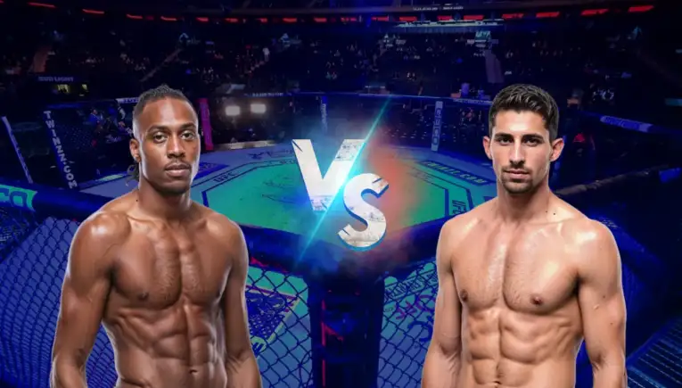 UFC 330