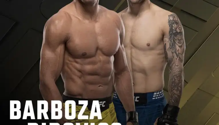 UFC 330