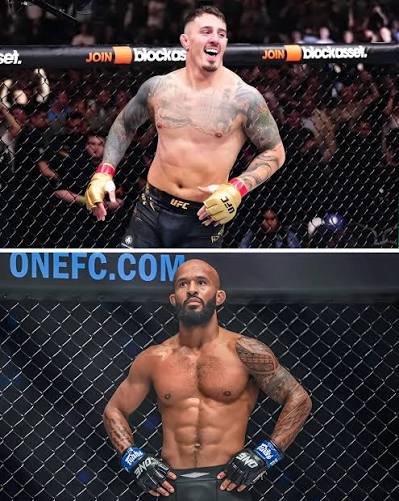 Two UFC fighters inside a cage: top fighter with tattoos and yellow gloves celebrating, bottom fighter with a beard and blue gloves posing shirtless.